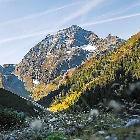 Gasteigerhof 4* Neustift im Stubaital