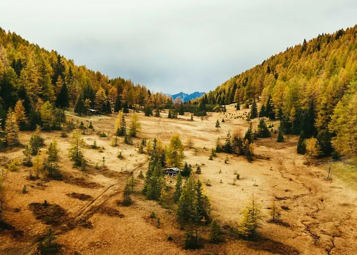 Hotel Gasteigerhof 4*