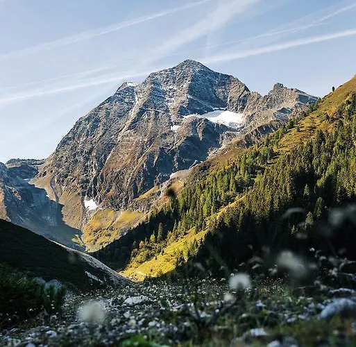 Gasteigerhof ホテル 4*